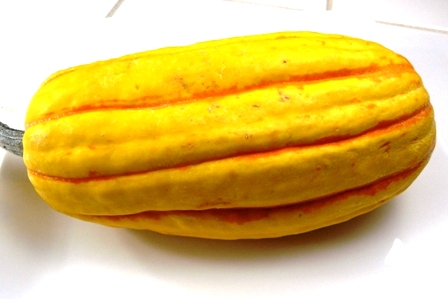 delicata squash