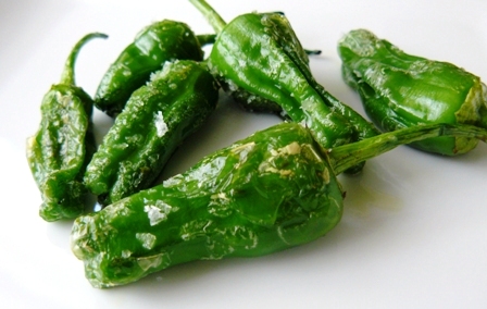 fried padron peppers