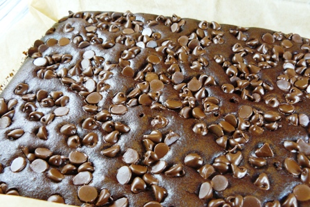 Guinness brownies