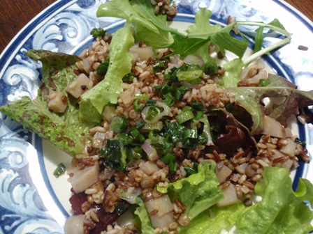 kohlrabi SooFoo salad