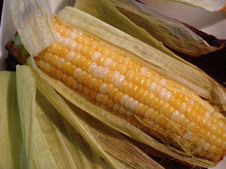 roasted corn