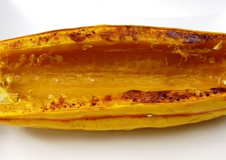 roasted delicata squash